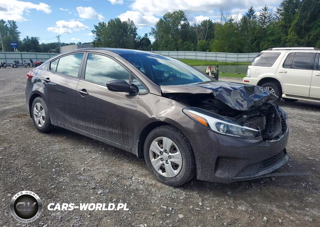 2017 Kia Forte Lx VIN:3KPFK4A70HE120519 - 4