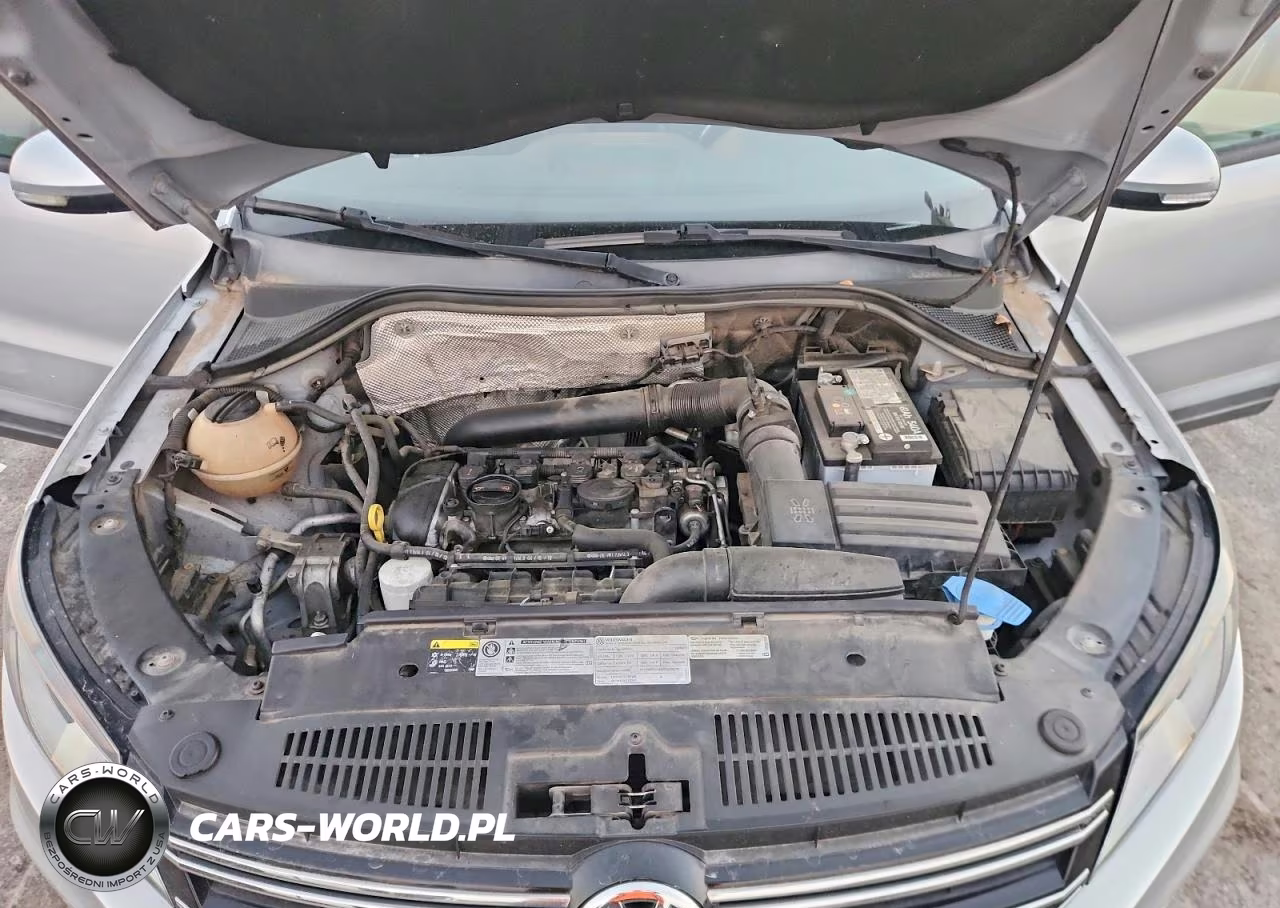 2013 Volkswagen Tiguan S VIN:WVGAV3AX9DW624705 - 12
