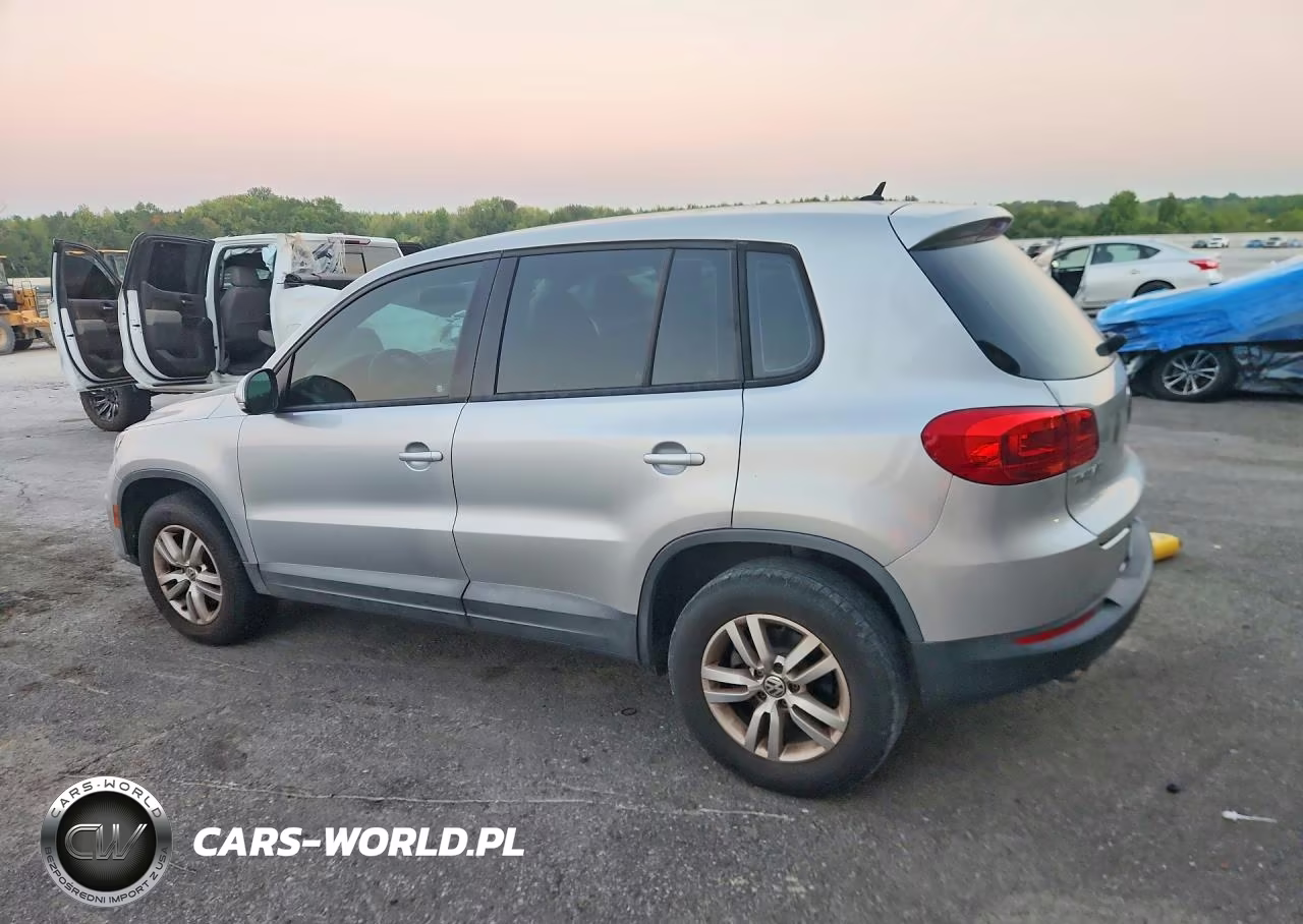 2013 Volkswagen Tiguan S VIN:WVGAV3AX9DW624705 - 2