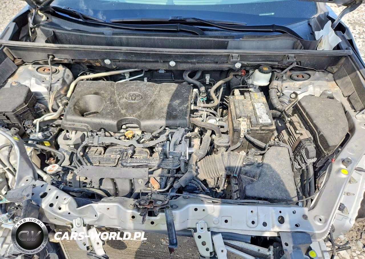 2019 Toyota Rav4 Xle VIN:2T3P1RFV5KW034372 - 11