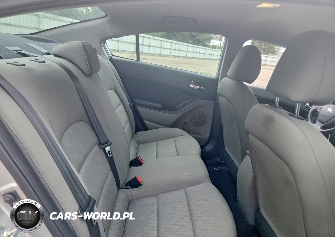 2015 Kia Forte Lx VIN:KNAFK4A65F5313567 - 10