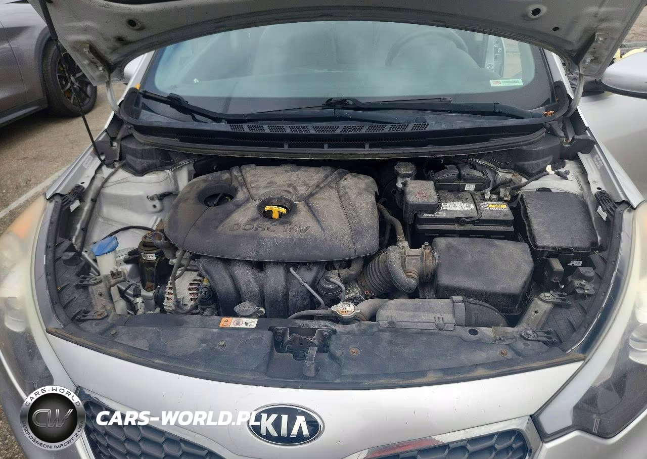 2015 Kia Forte Lx VIN:KNAFK4A65F5313567 - 11
