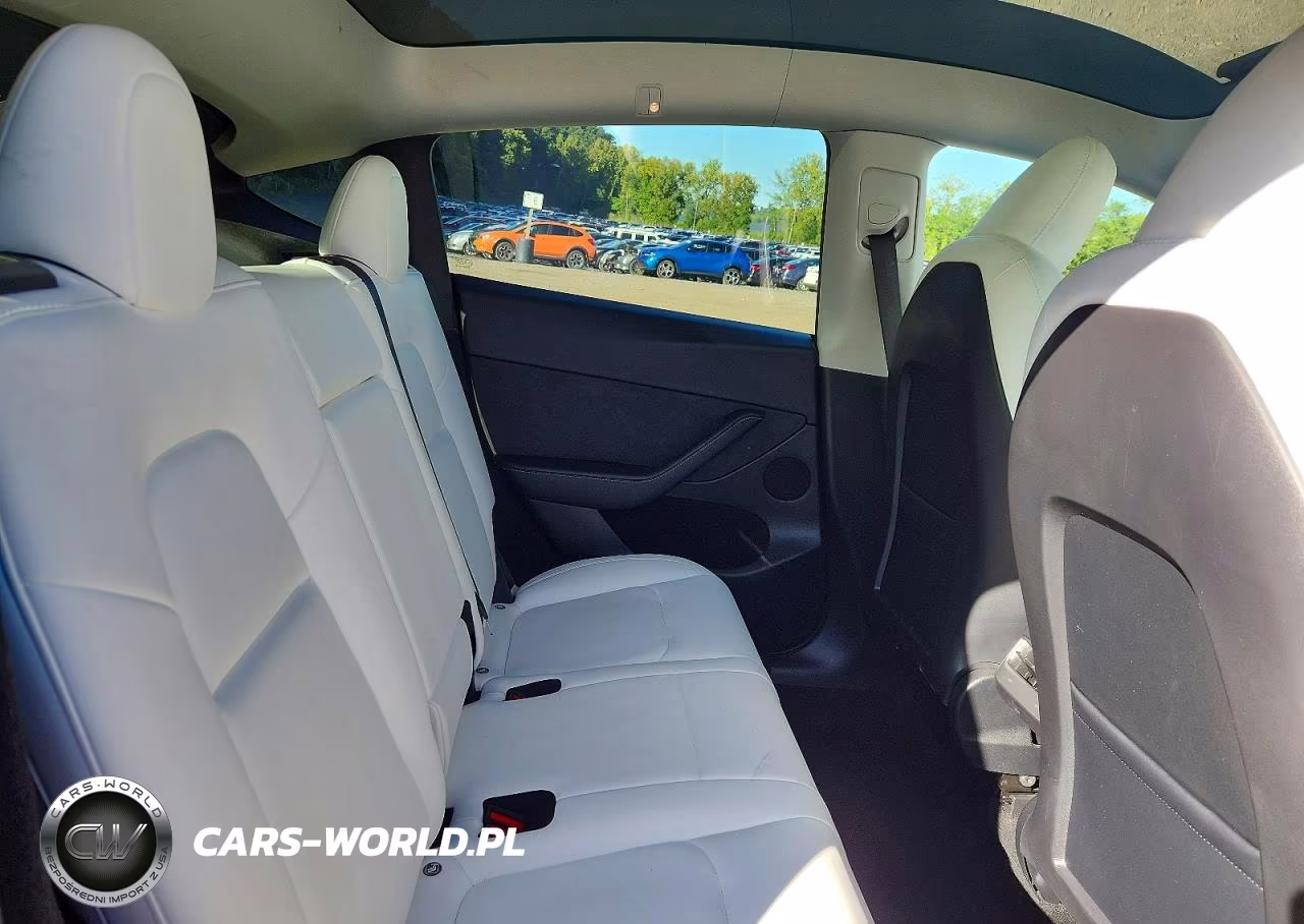 2023 Tesla Model Y VIN:7SAYGDEF3PF773899 - 10