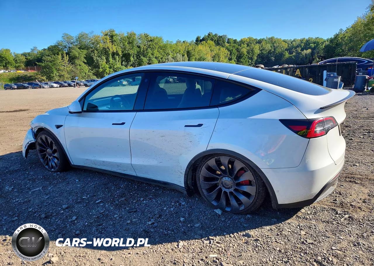 2023 Tesla Model Y VIN:7SAYGDEF3PF773899 - 2