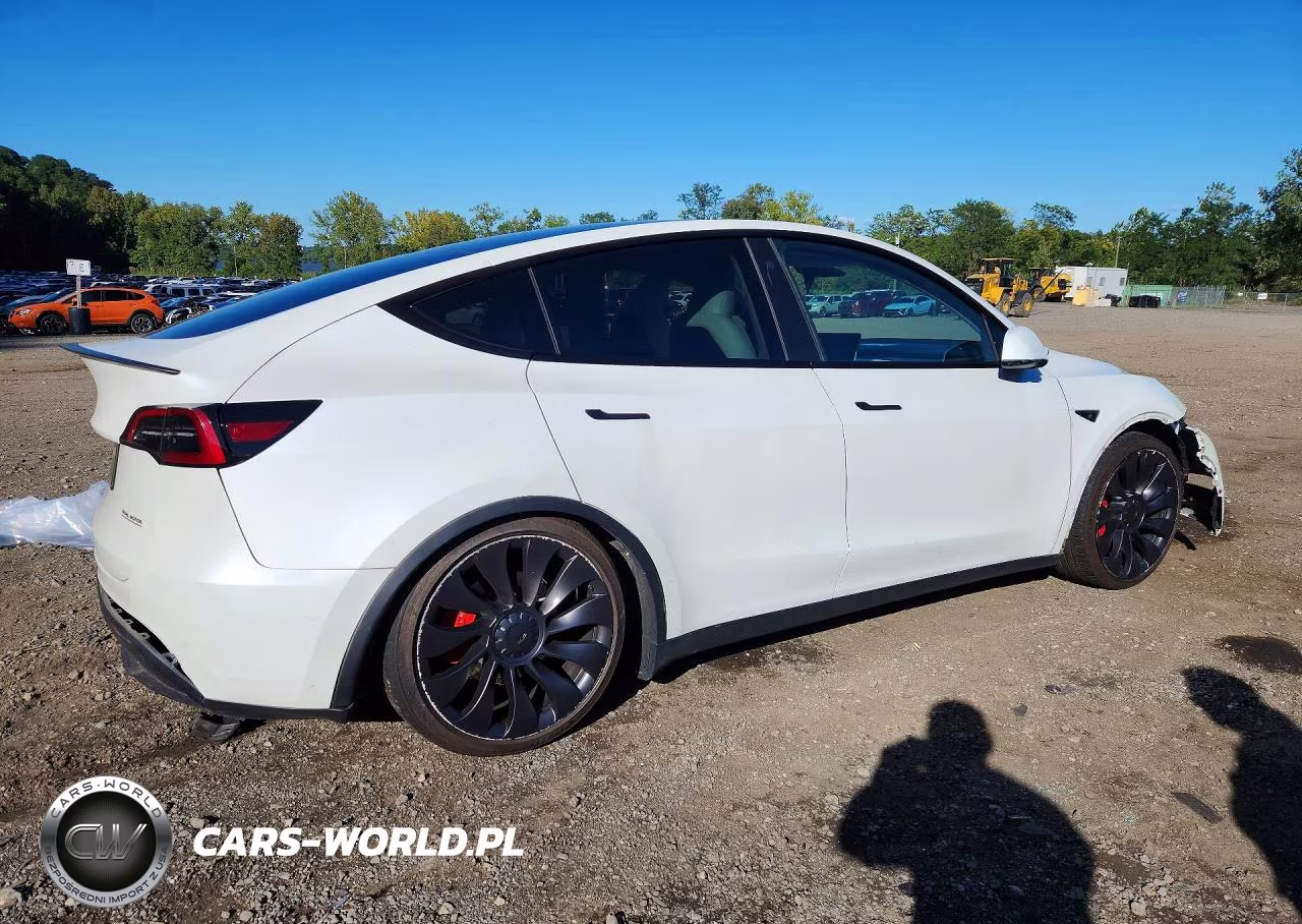 2023 Tesla Model Y VIN:7SAYGDEF3PF773899 - 3