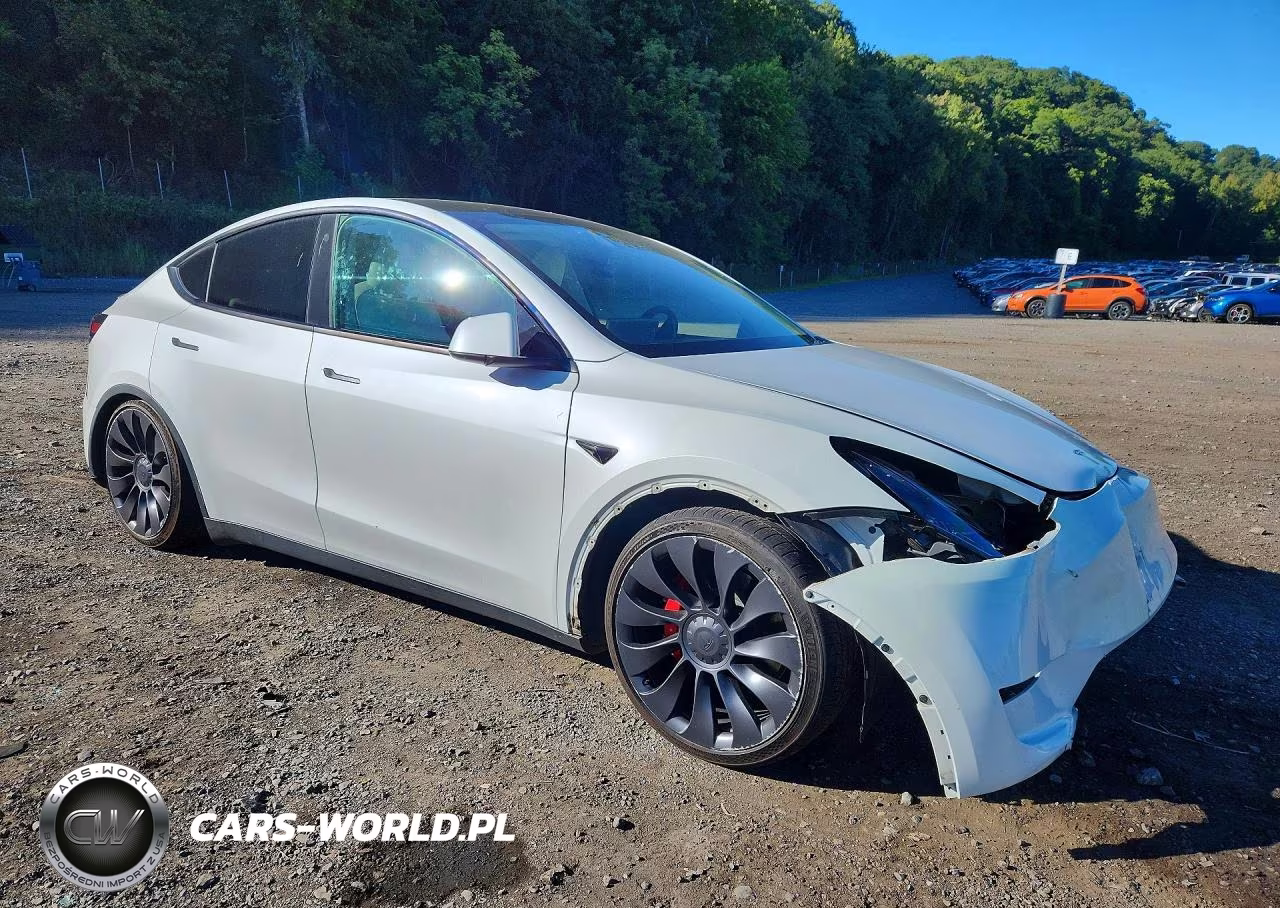 2023 Tesla Model Y VIN:7SAYGDEF3PF773899 - 4