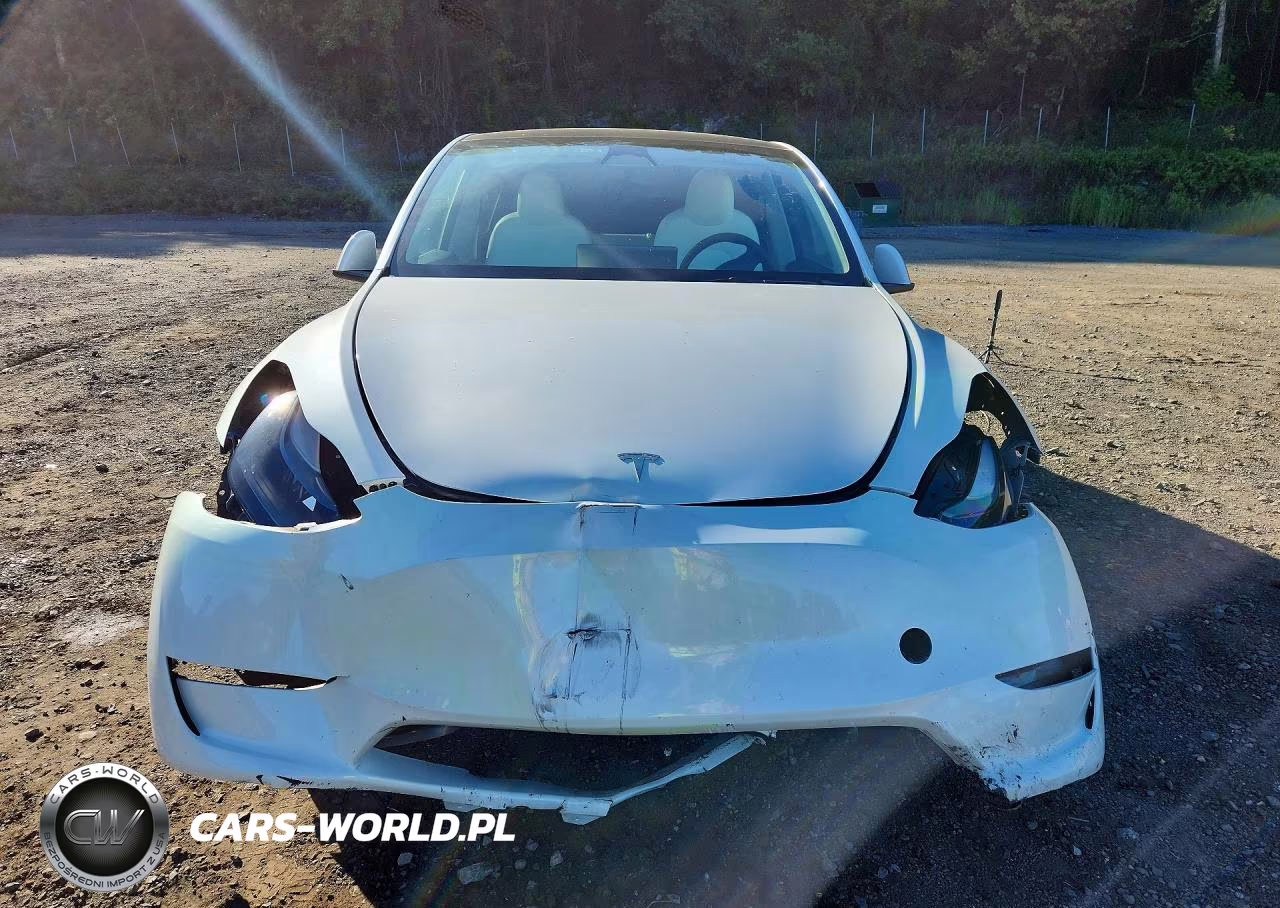 2023 Tesla Model Y VIN:7SAYGDEF3PF773899 - 5