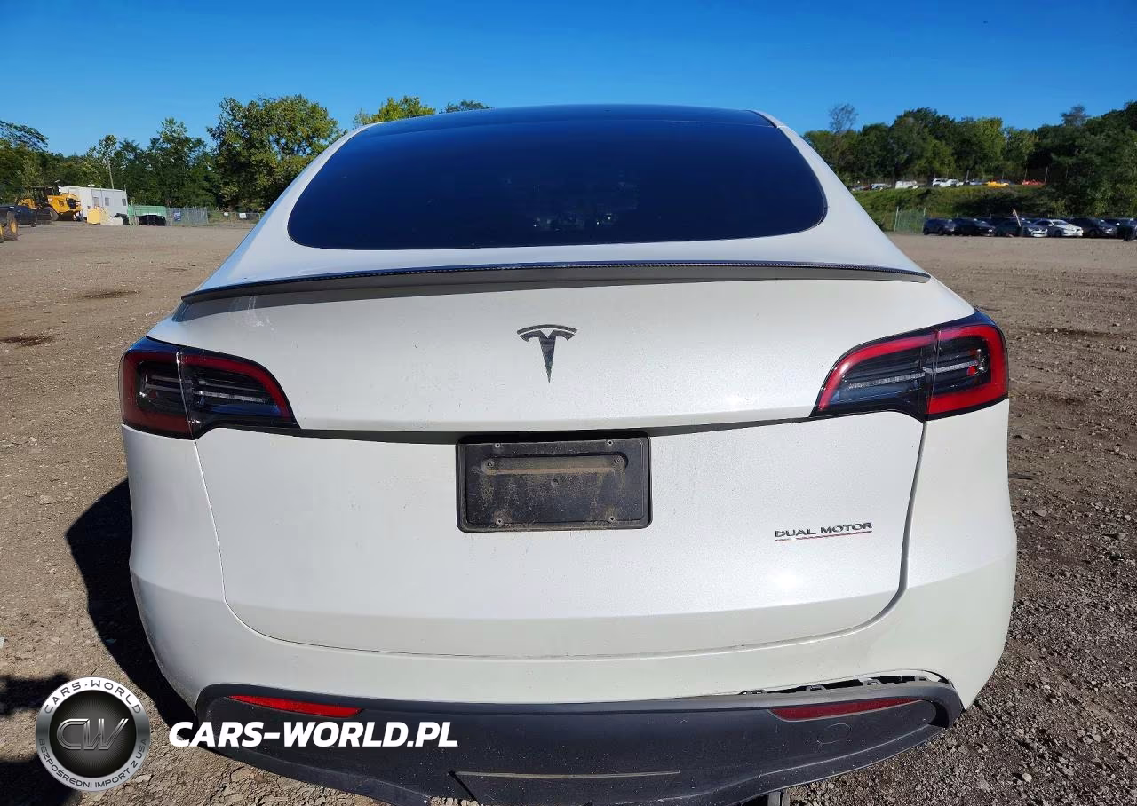 2023 Tesla Model Y VIN:7SAYGDEF3PF773899 - 6