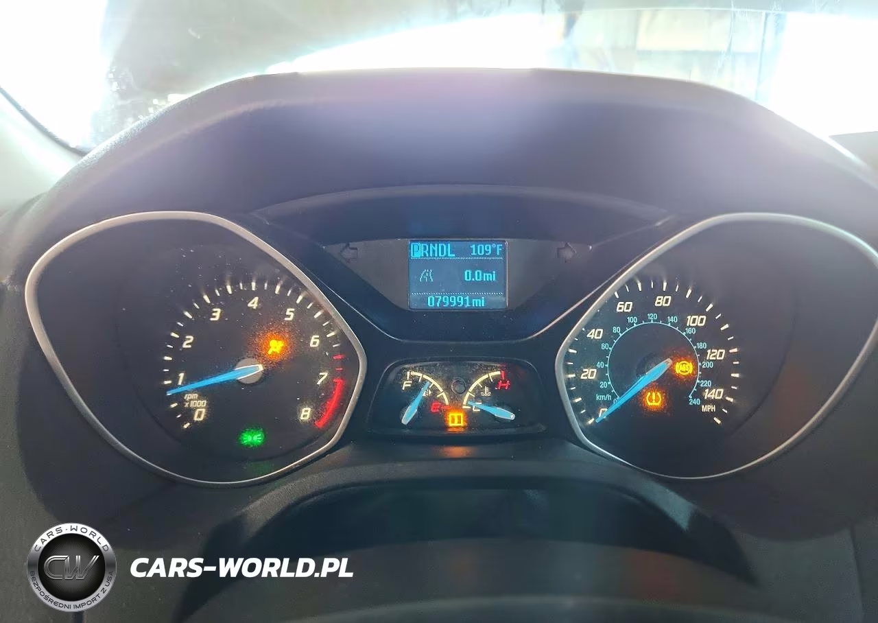 2013 Ford Focus S VIN:1FADP3E23DL325065 - 9
