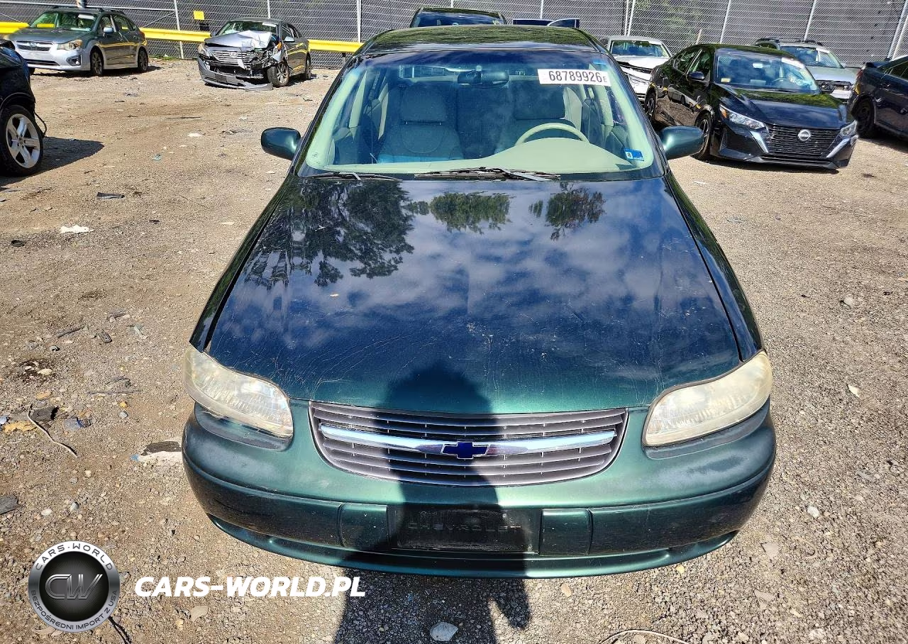 2002 Chevrolet Malibu Ls VIN:1G1NE52J42M554883 - 5