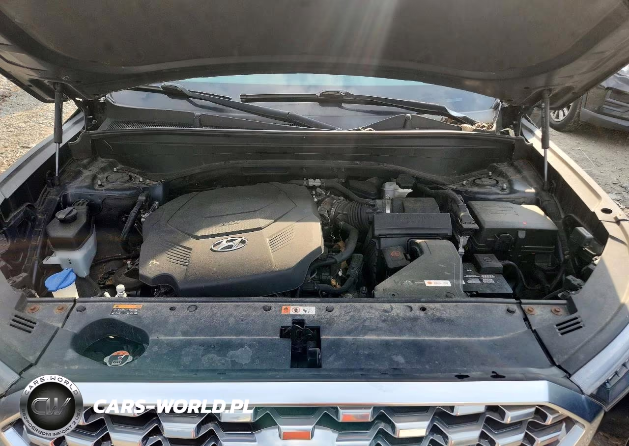 2020 Hyundai Palisade Sel VIN:KM8R3DHE9LU040883 - 12