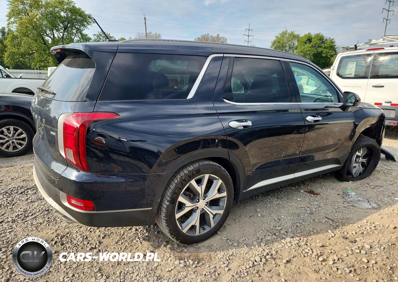 2020 Hyundai Palisade Sel VIN:KM8R3DHE9LU040883 - 3
