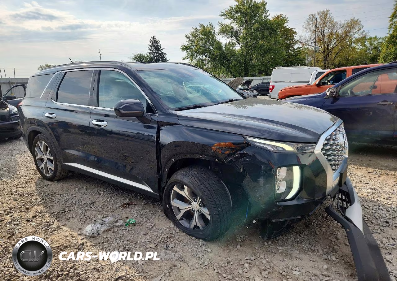 2020 Hyundai Palisade Sel VIN:KM8R3DHE9LU040883 - 4
