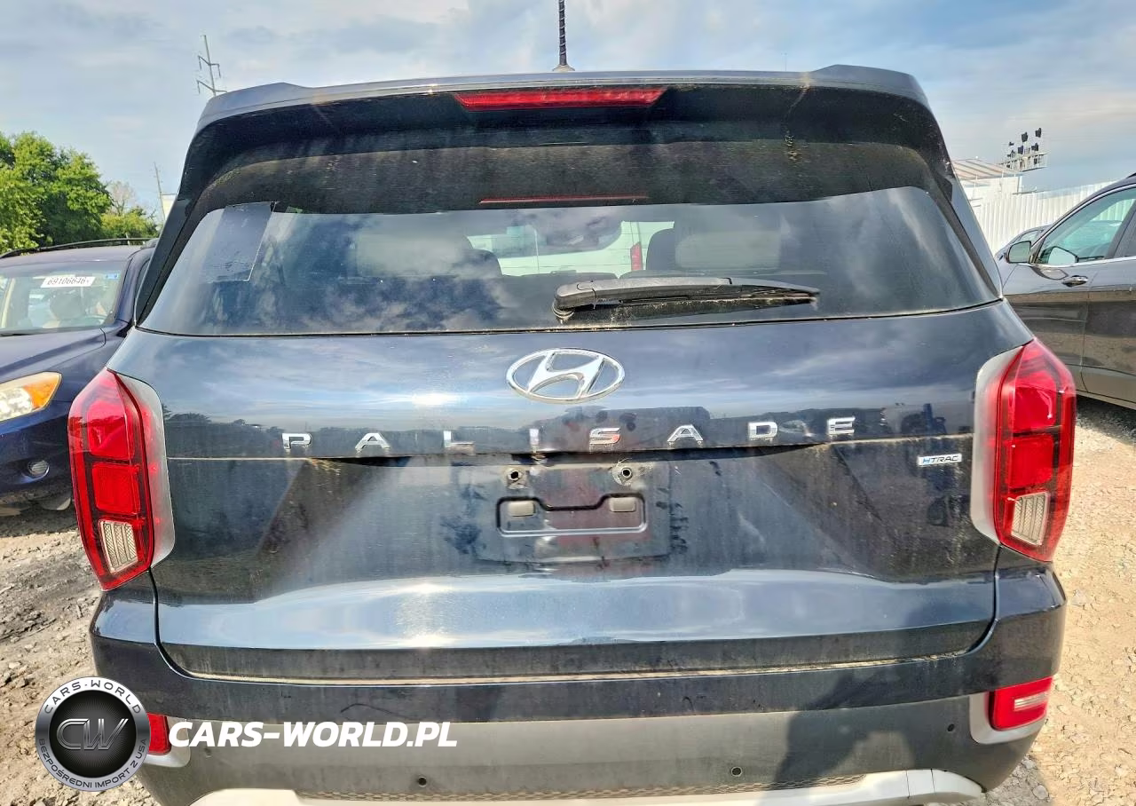 2020 Hyundai Palisade Sel VIN:KM8R3DHE9LU040883 - 6