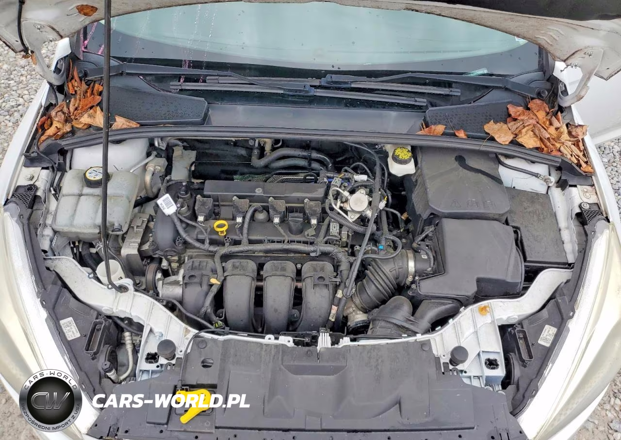 2017 Ford Focus Se VIN:1FADP3K25HL322341 - 11