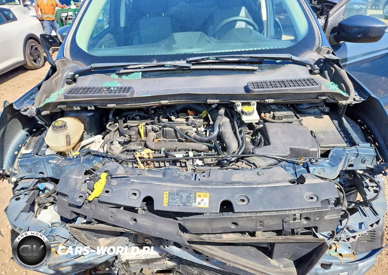 2019 Ford Escape Se VIN:1FMCU0GD4KUA32631 - 12