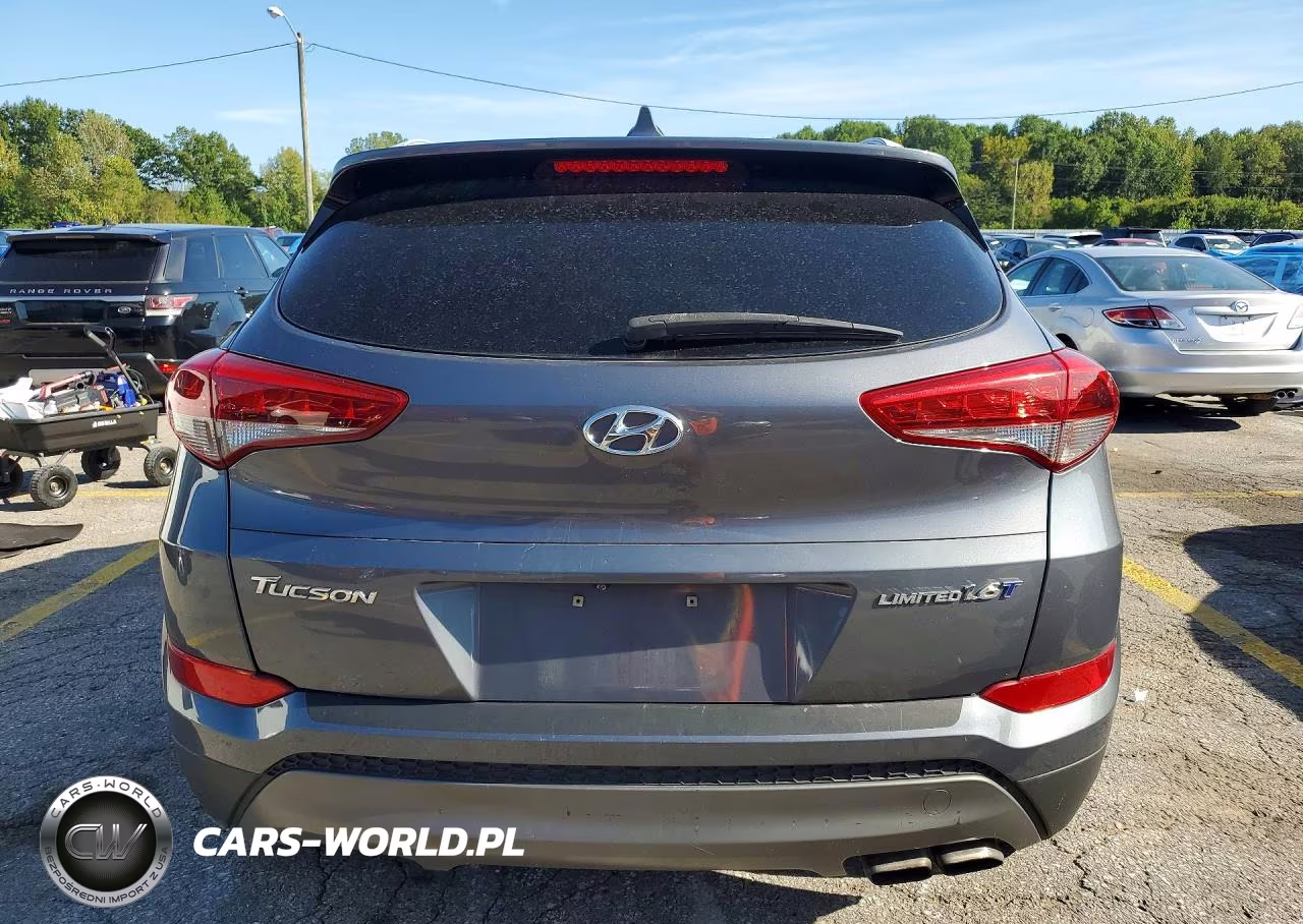 2016 Hyundai Tucson Limited VIN:KM8J33A20GU136351 - 6