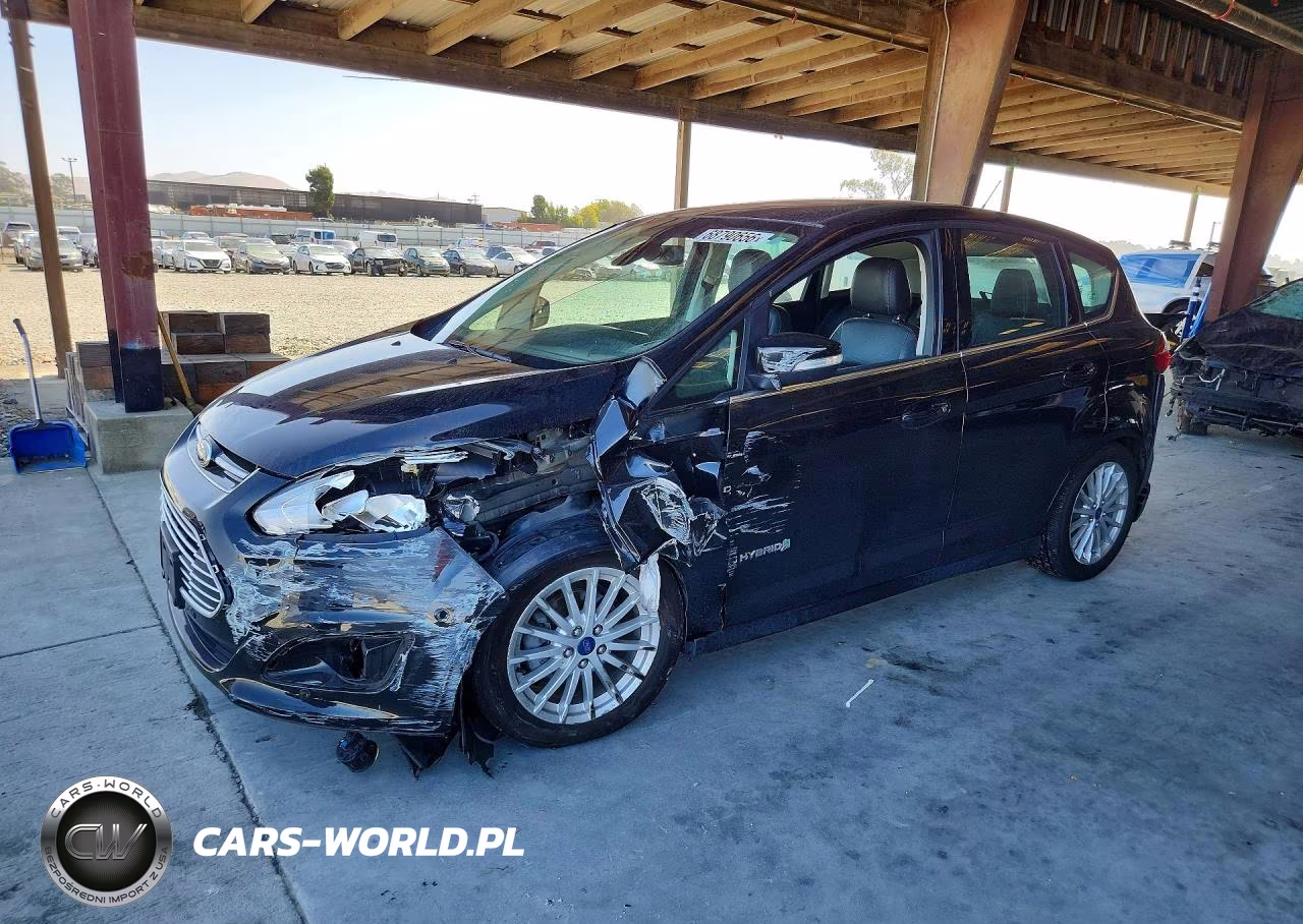 2013 Ford C-Max Sel VIN:1FADP5BU9DL541195 - 1