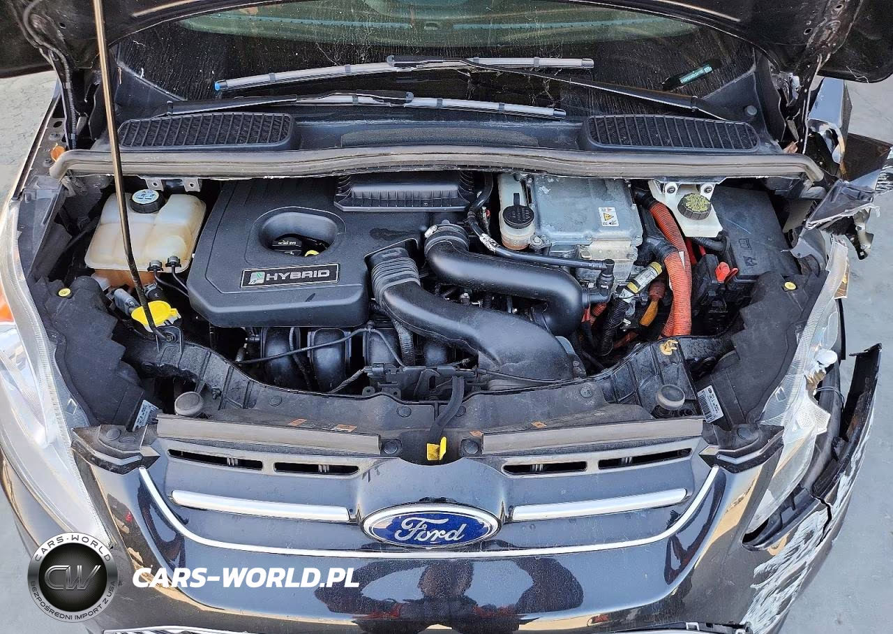 2013 Ford C-Max Sel VIN:1FADP5BU9DL541195 - 11