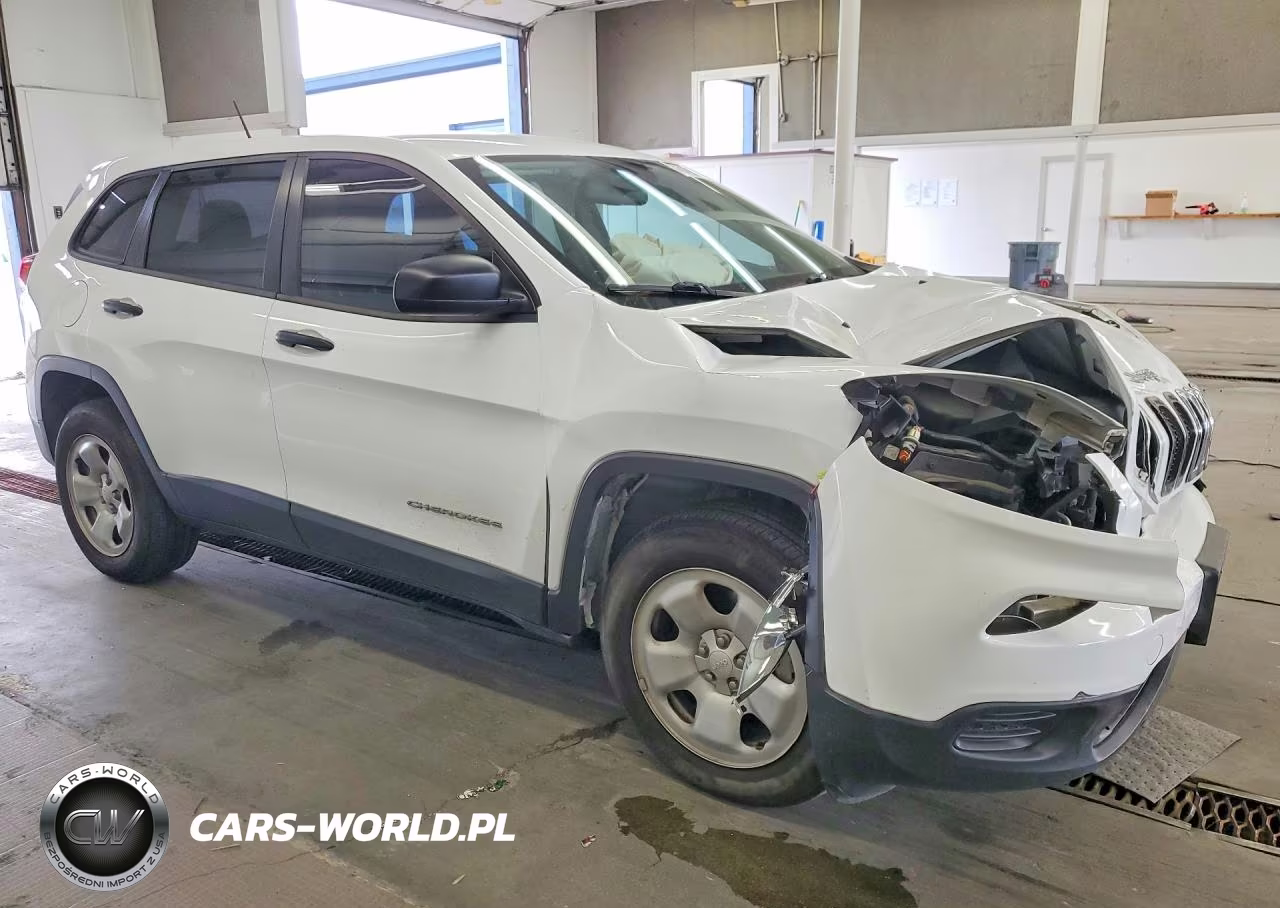 2014 Jeep Cherokee Sport VIN:1C4PJMAB9EW166427 - 4