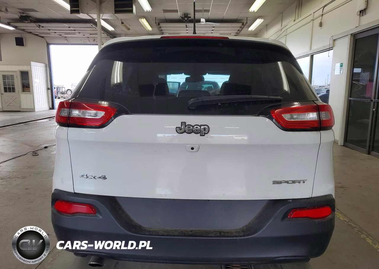 2014 Jeep Cherokee Sport VIN:1C4PJMAB9EW166427 - 6