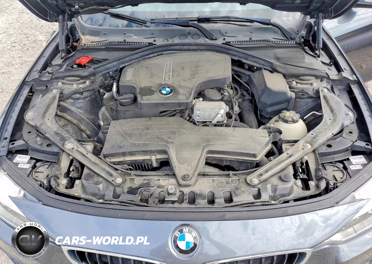 2016 BMW 428 Xi Sulev VIN:WBA3T1C54GP821943 - 11