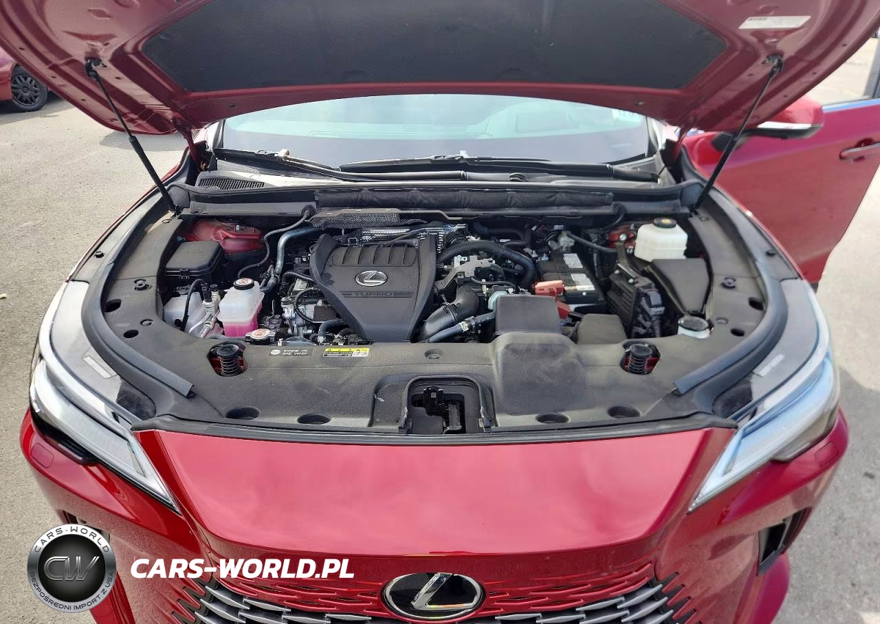 2024 Lexus Rx 350 Luxury VIN:2T2BAMCA4RC047953 - 12