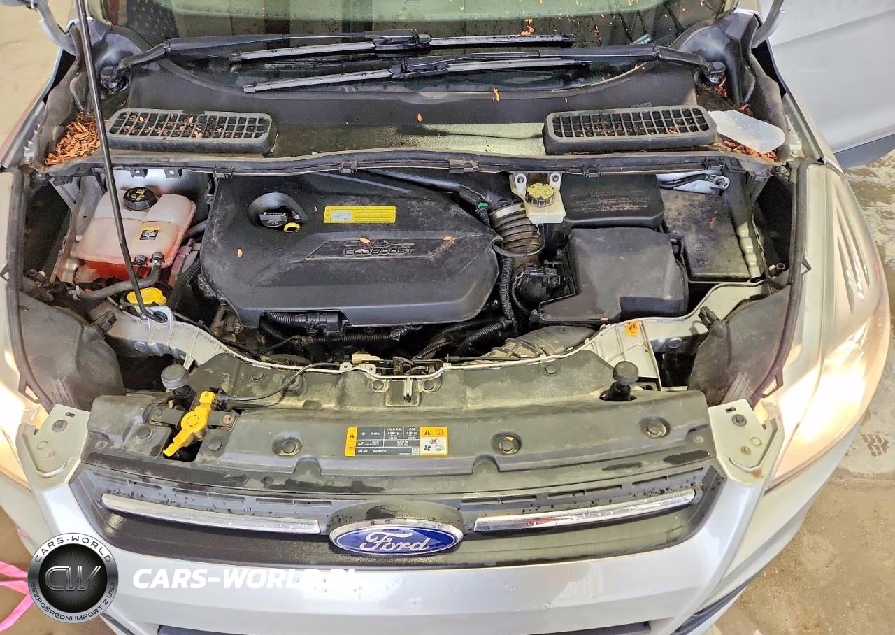 2013 Ford Escape Se VIN:1FMCU0GX9DUC37780 - 12