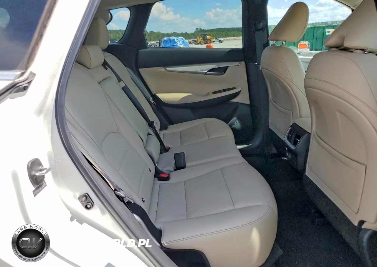 2019 Infiniti Qx50 Luxe VIN:3PCAJ5M16KF126238 - 10