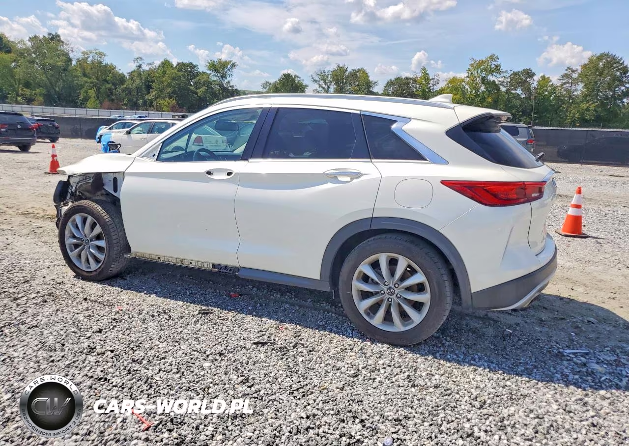 2019 Infiniti Qx50 Luxe VIN:3PCAJ5M16KF126238 - 2