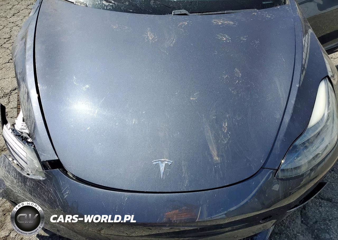 2021 Tesla Model 3 VIN:5YJ3E1EB6MF914985 - 11