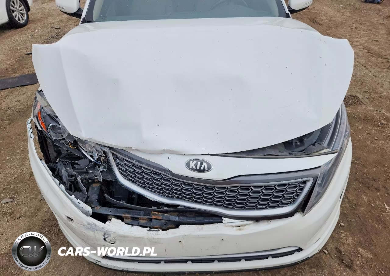 2014 Kia Optima Hybrid VIN:KNAGN4AD3E5076277 - 11