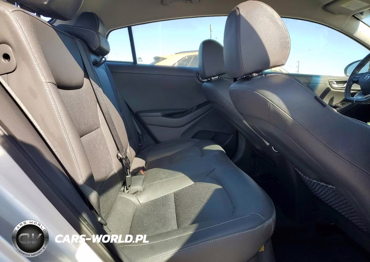 2019 Hyundai Ioniq Limited VIN:KMHC75LD2KU110902 - 10