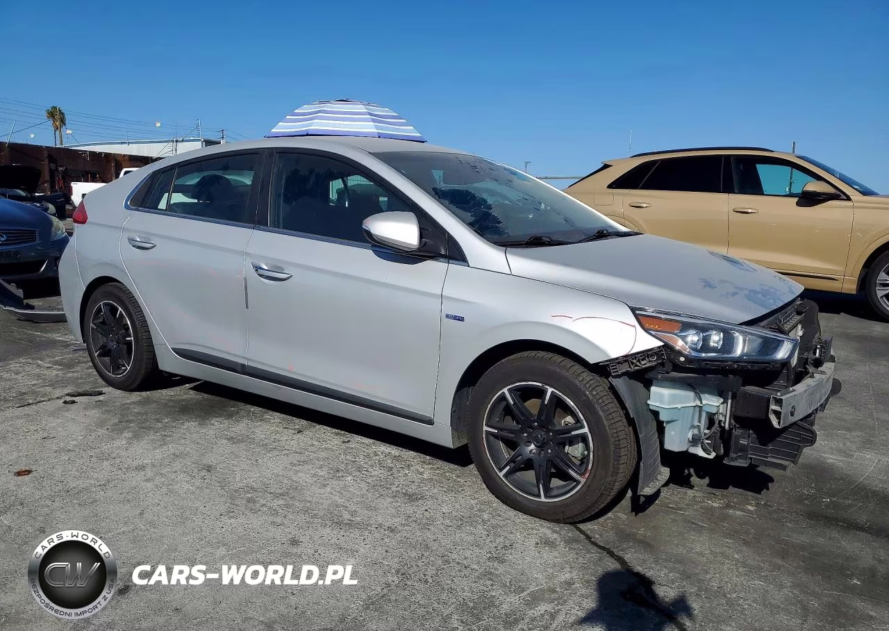 2019 Hyundai Ioniq Limited VIN:KMHC75LD2KU110902 - 4