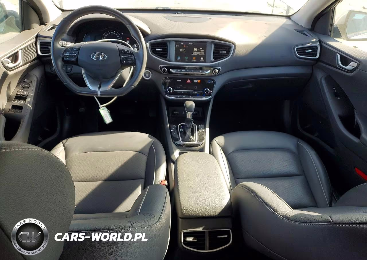 2019 Hyundai Ioniq Limited VIN:KMHC75LD2KU110902 - 8