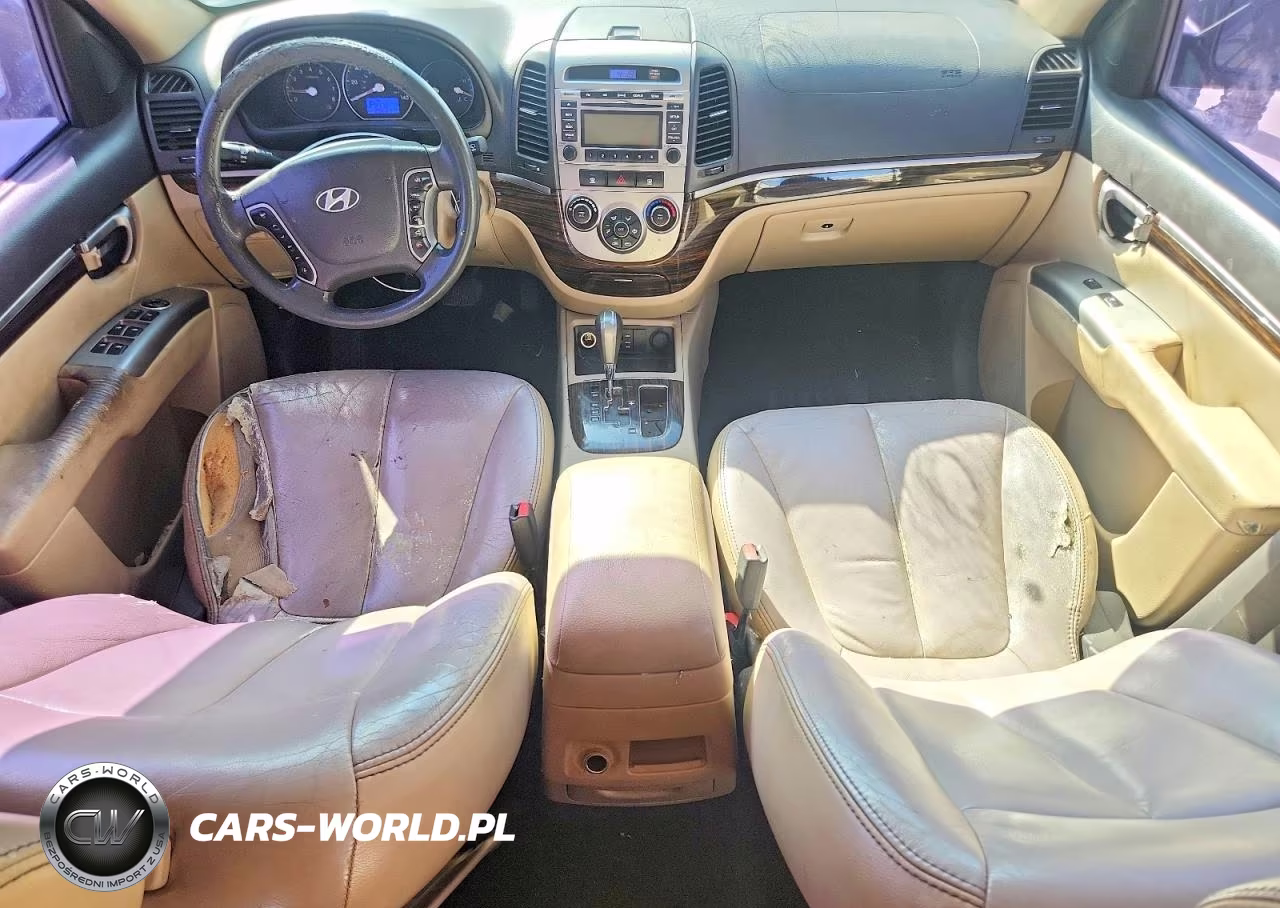 2010 Hyundai Santa Fe Gls VIN:5NMSG3AB1AH385964 - 8
