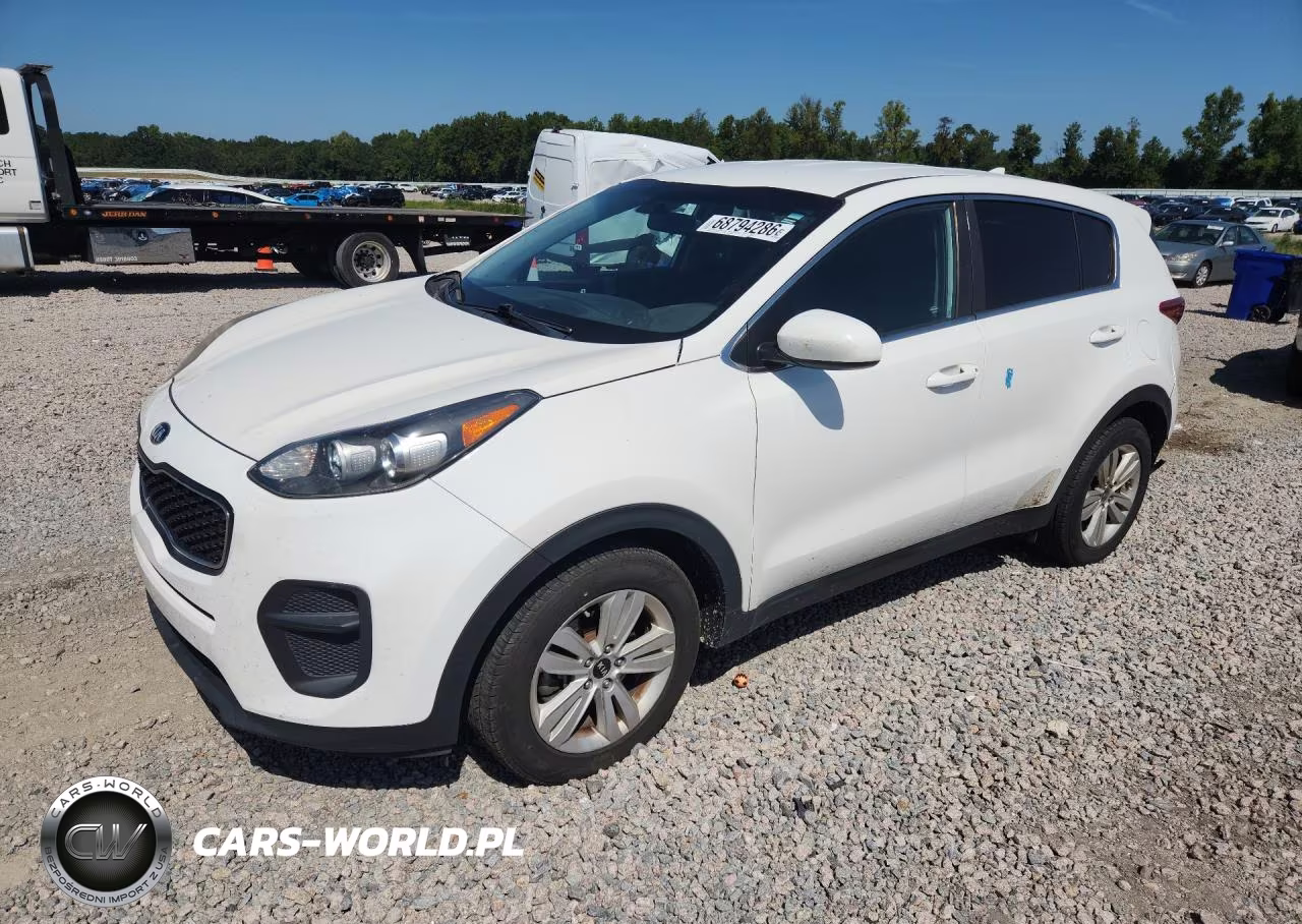 2019 Kia Sportage Lx VIN:KNDPM3AC6K7491620 - 1