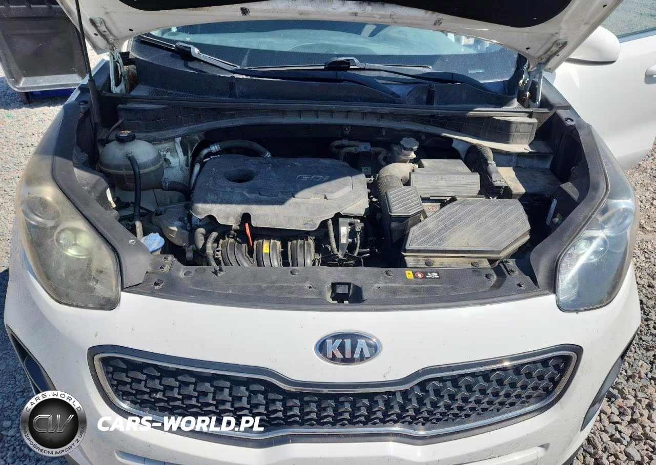 2019 Kia Sportage Lx VIN:KNDPM3AC6K7491620 - 12