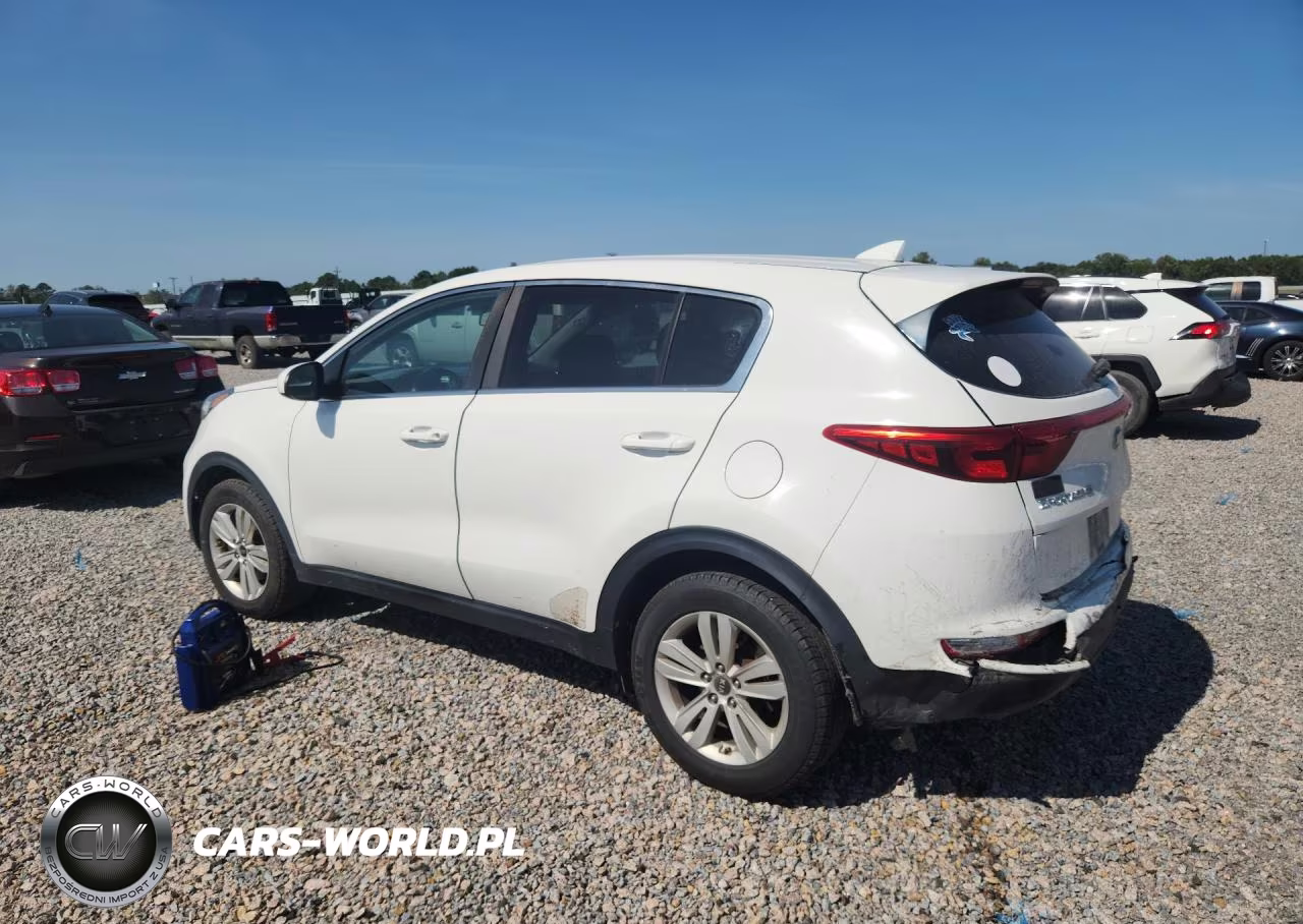 2019 Kia Sportage Lx VIN:KNDPM3AC6K7491620 - 2