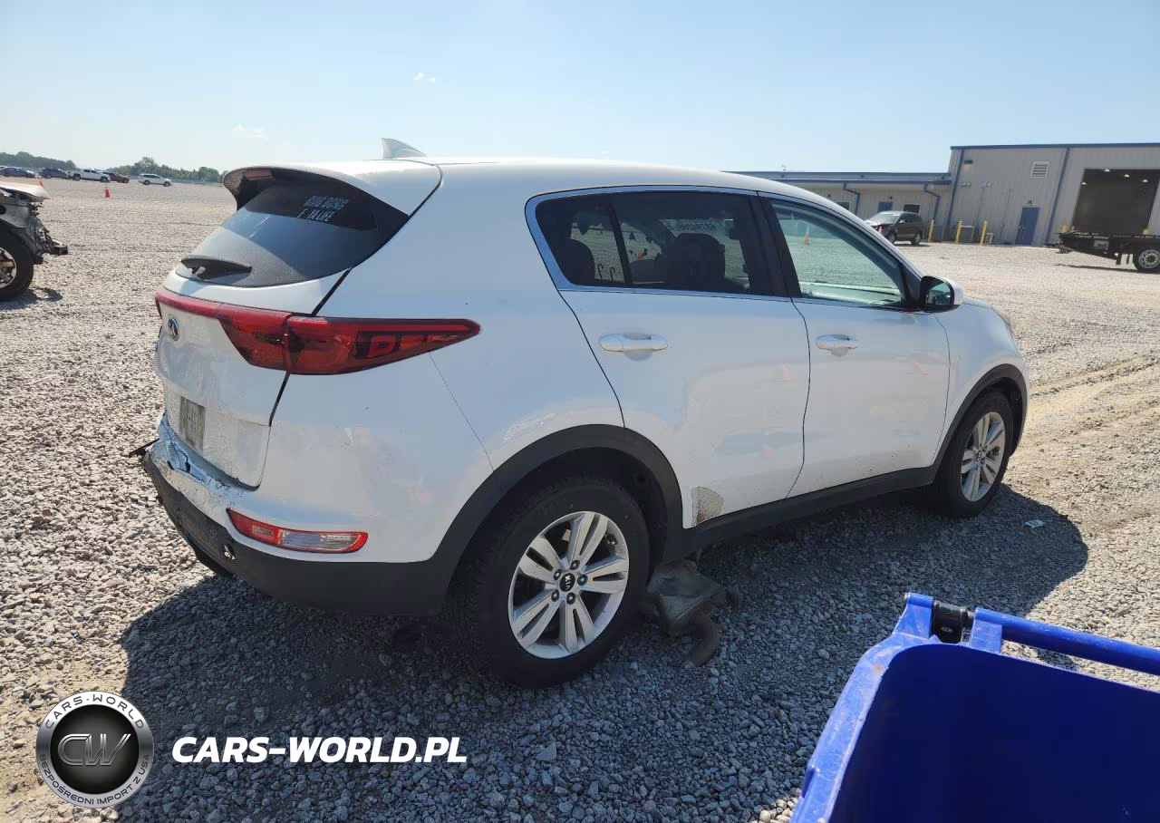 2019 Kia Sportage Lx VIN:KNDPM3AC6K7491620 - 3