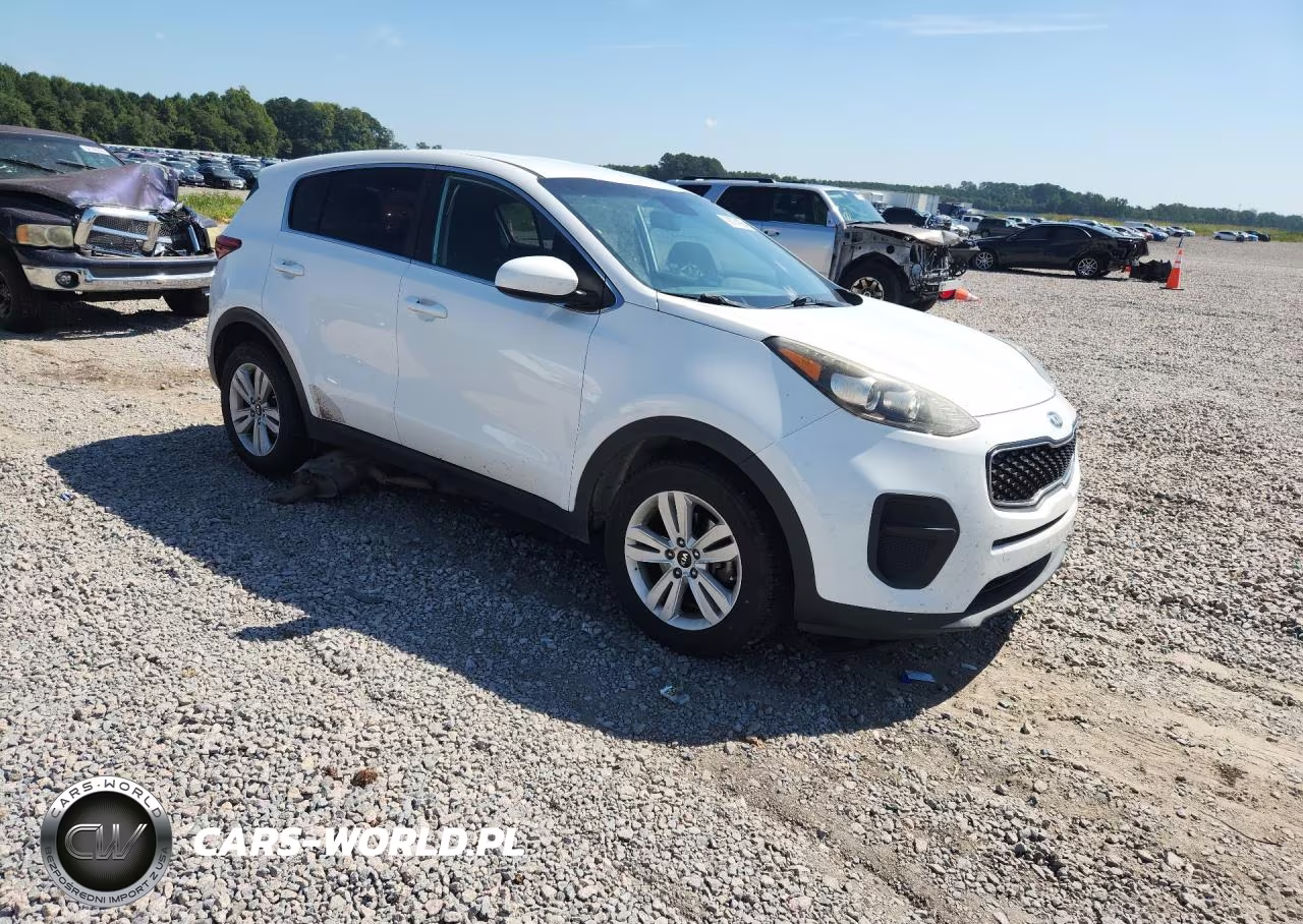 2019 Kia Sportage Lx VIN:KNDPM3AC6K7491620 - 4