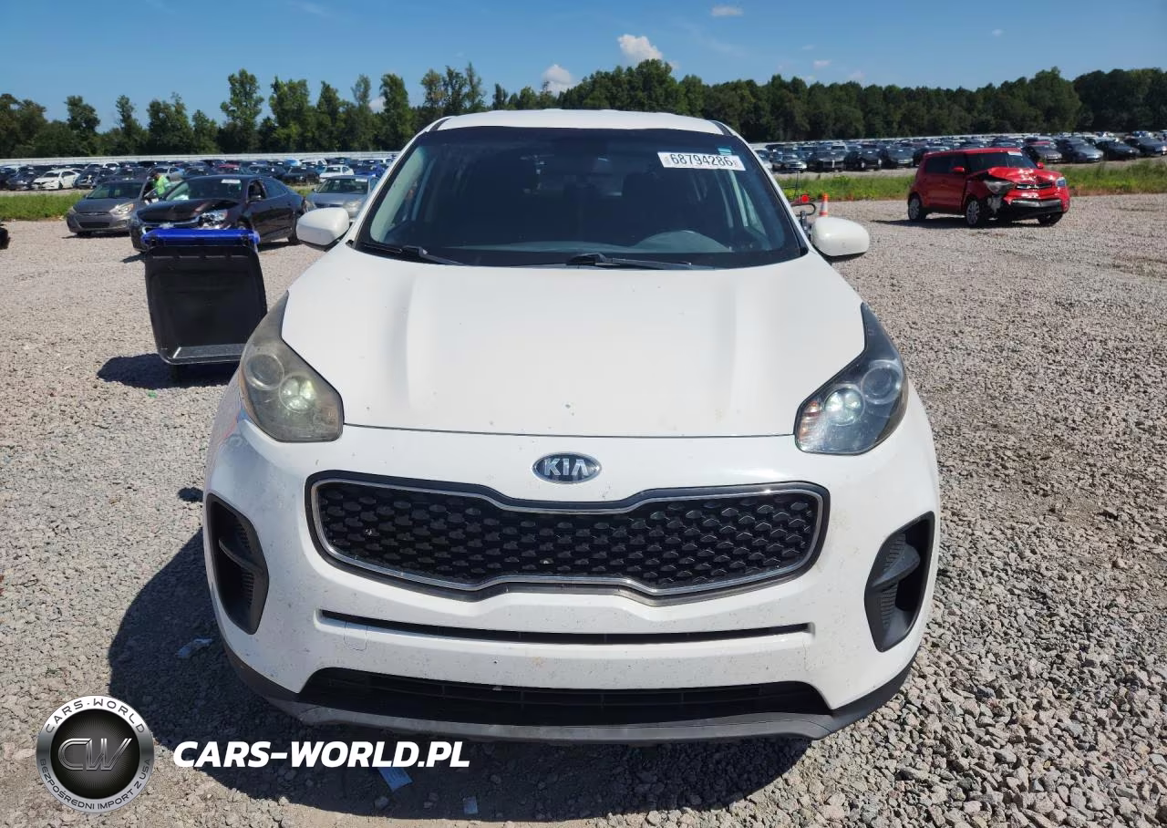 2019 Kia Sportage Lx VIN:KNDPM3AC6K7491620 - 5
