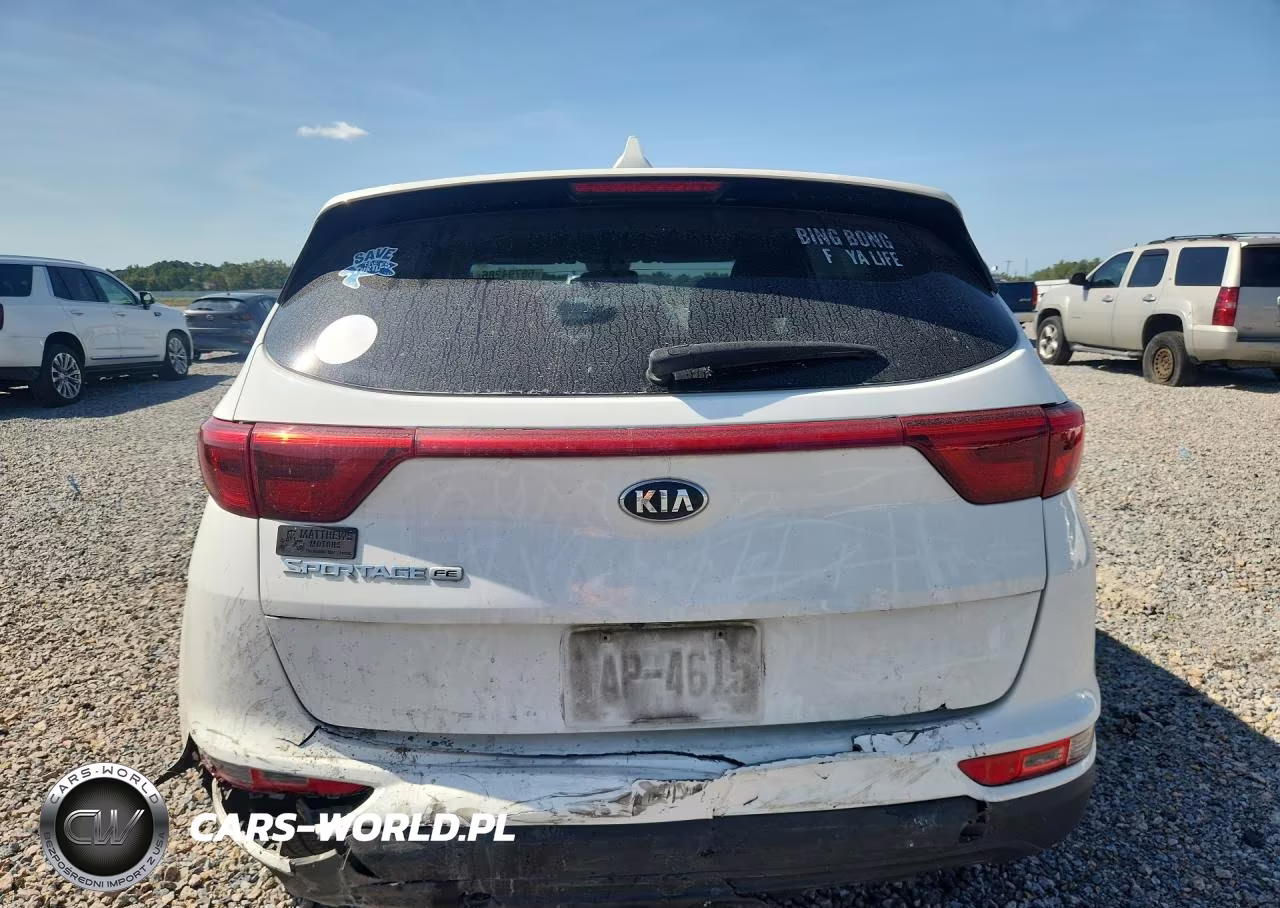 2019 Kia Sportage Lx VIN:KNDPM3AC6K7491620 - 6