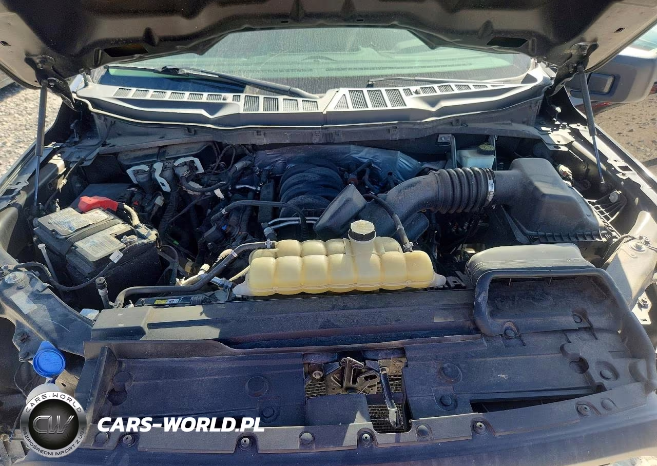 2021 Ford F150 Supercrew VIN:1FTFW1E58MFB64733 - 11