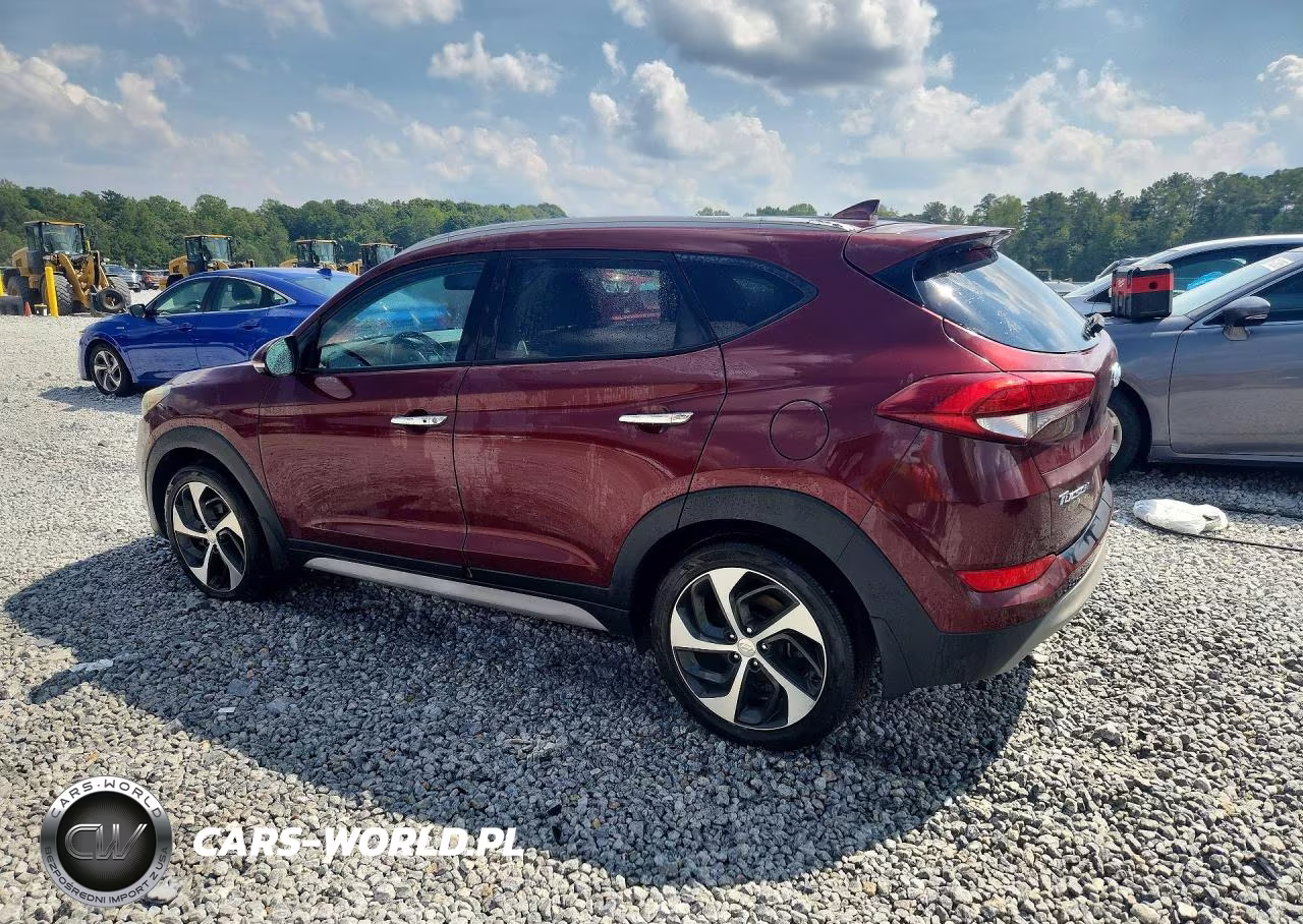 2017 Hyundai Tucson Limited VIN:KM8J33A20HU417180 - 2