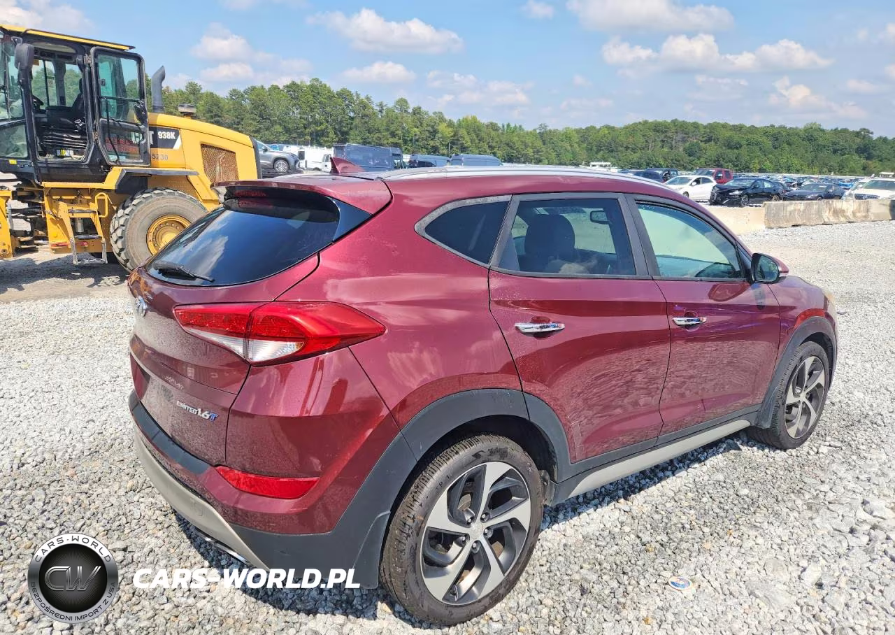 2017 Hyundai Tucson Limited VIN:KM8J33A20HU417180 - 3
