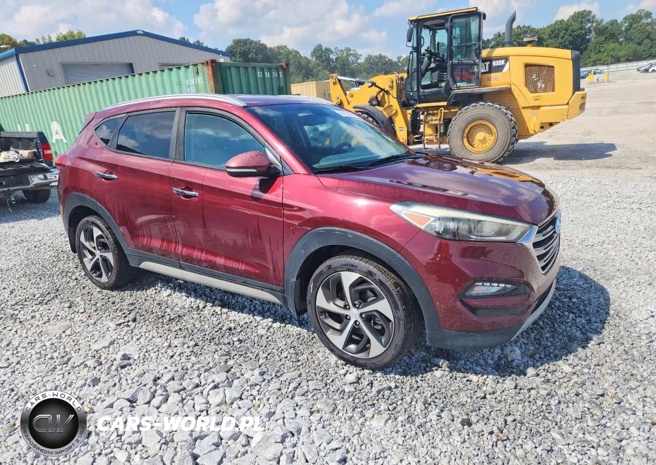 2017 Hyundai Tucson Limited VIN:KM8J33A20HU417180 - 4