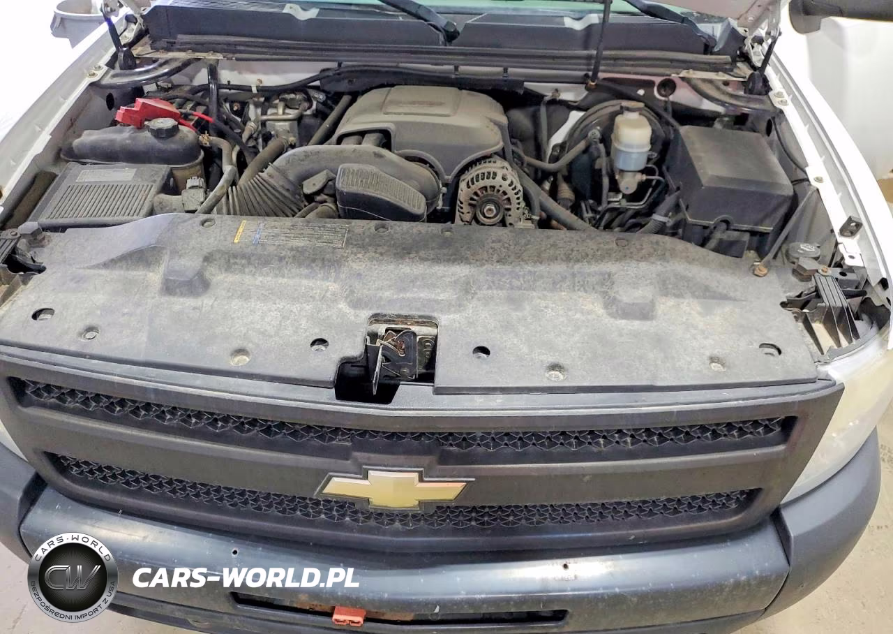 2010 Chevrolet Silverado K1500 VIN:1GCSKPE35AZ232542 - 11