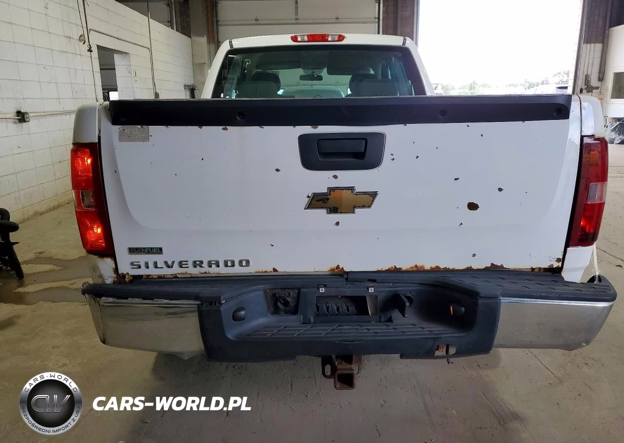 2010 Chevrolet Silverado K1500 VIN:1GCSKPE35AZ232542 - 6