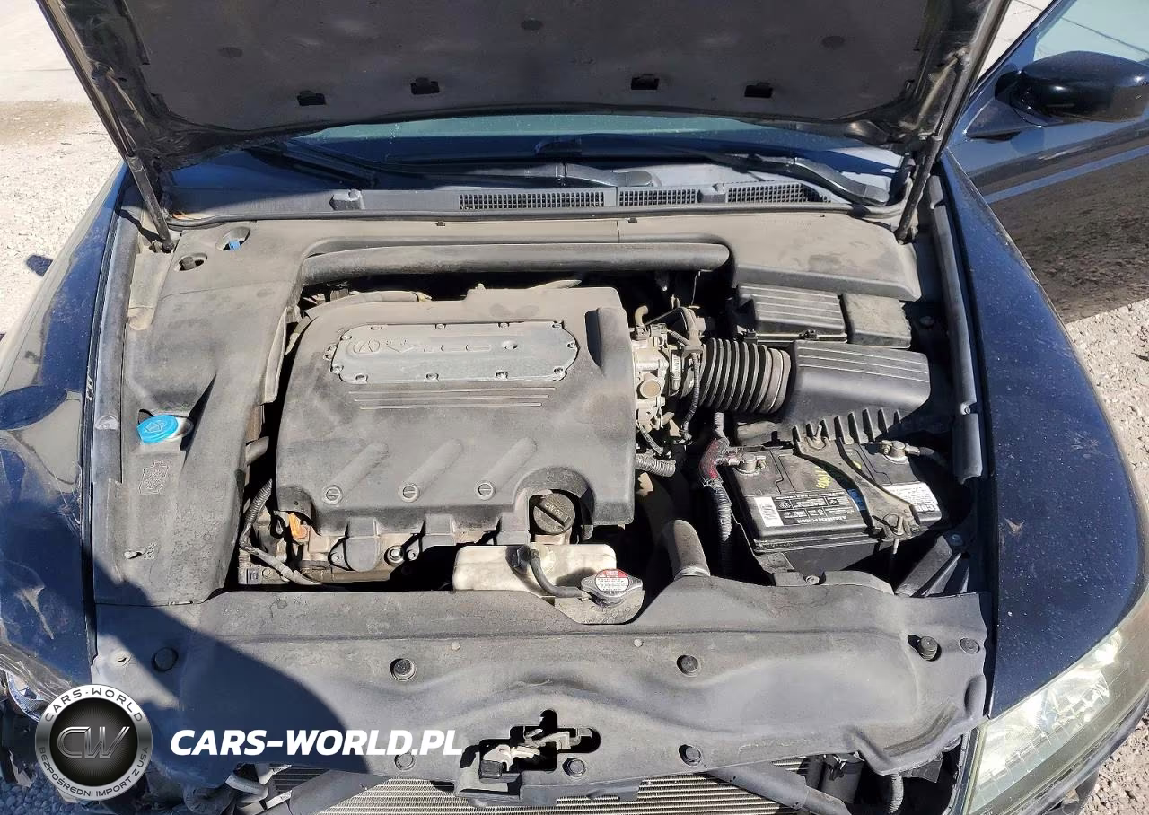 2004 Acura Tl VIN:19UUA66244A070337 - 11